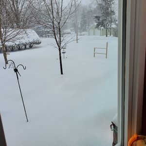 Meet your Posher, Charles